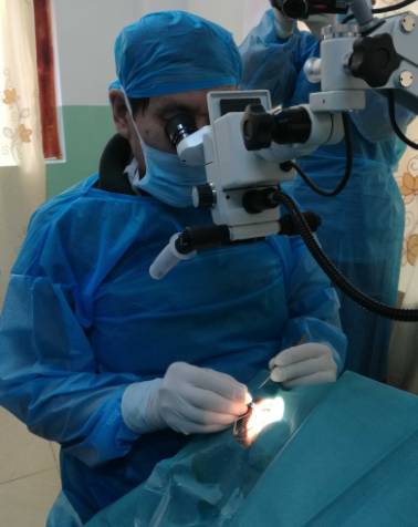 2017年8月1日，霍鸣教授正式受聘为宜昌太阳成tyc122cc(中国)集团院长