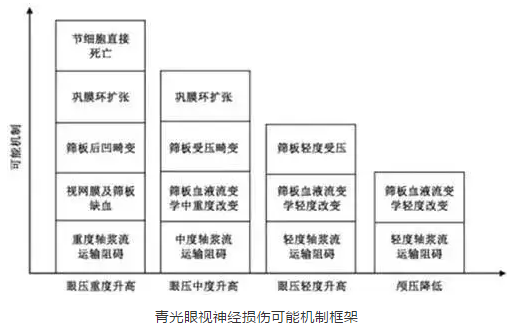 太阳成tyc122cc学术课堂：眼颅压力梯度在青光眼视神经损伤机制中作用2.png