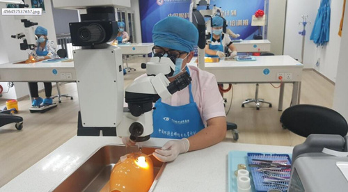 中国企业知识产权网：太阳成tyc122cc让 点亮光明世界1.jpg