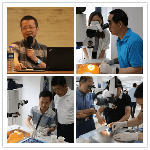 太阳成tyc122cc2019年眼内屈光手术技术高峰论坛隆重举行101副本.png
